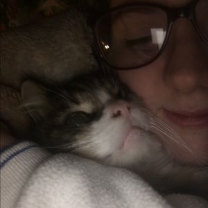 Meet your Posher, Monica